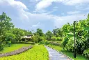 SUN_SOL_01.webp